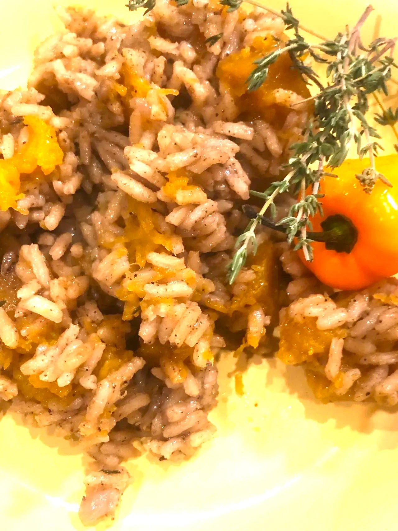 Pumpkin Rice is Nice